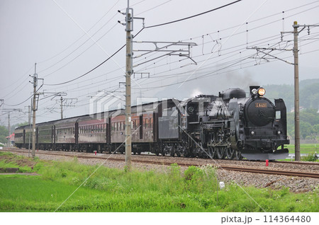 上越線　後閑ー沼田　JR東日本　C61-20＋旧客（高崎）　SLみなかみ 114364480