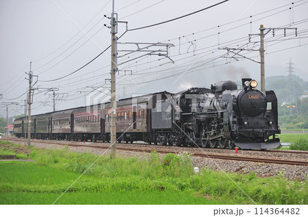 上越線　後閑ー沼田　JR東日本　C61-20＋旧客（高崎）　SLみなかみ 114364482