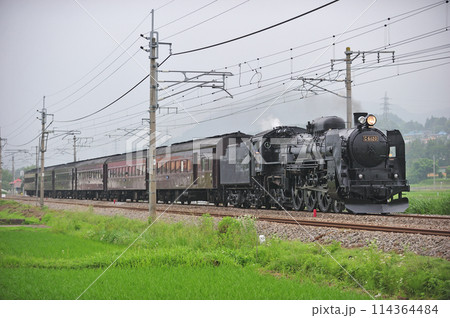 上越線 後閑ー沼田 JR東日本 C61-20+旧客(高崎) SLみなかみ 上越線 後閑ー沼田 JR東日本 C61-20+旧客(高崎) SLみなかみ 114364484