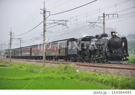 上越線　後閑ー沼田　JR東日本　C61-20＋旧客（高崎）　SLみなかみ 114364485