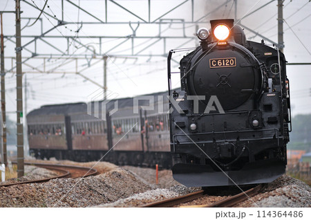 上越線 渋川ー八木原 JR東日本 C61-20+旧客(高崎) SLみなかみ 上越線 渋川ー八木原 JR東日本 C61-20+旧客(高崎) SLみなかみ 114364486