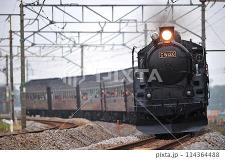 上越線　渋川ー八木原　JR東日本　C61-20＋旧客（高崎）　SLみなかみ 114364488