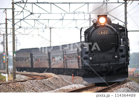 上越線 渋川ー八木原 JR東日本 C61-20+旧客(高崎) SLみなかみ 上越線 渋川ー八木原 JR東日本 C61-20+旧客(高崎) SLみなかみ 114364489