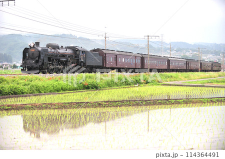上越線 渋川ー八木原 JR東日本 C61-20+旧客(高崎) SLみなかみ 上越線 渋川ー八木原 JR東日本 C61-20+旧客(高崎) SLみなかみ 114364491
