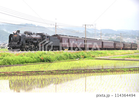 上越線 渋川ー八木原 JR東日本 C61-20+旧客(高崎) SLみなかみ 上越線 渋川ー八木原 JR東日本 C61-20+旧客(高崎) SLみなかみ 114364494