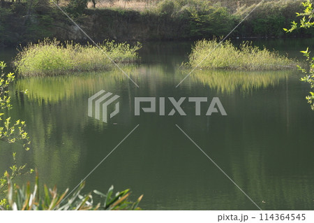 室生湖の春　 114364545