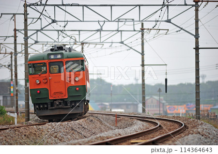 上越線　八木原ー渋川　JR東日本　115系　T1041編成（高崎） 114364643