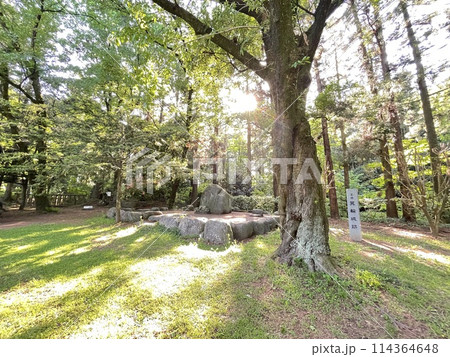 日本の城 群馬の箕輪城跡 日本の城 群馬の箕輪城跡 114364648