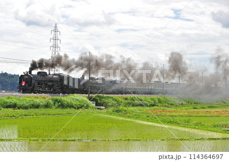 上越線　八木原ー渋川　JR東日本　C61-20+C57-180+12系　がんばろう日本 114364697