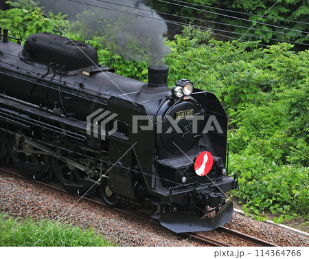 上越線 上牧ー水上 JR東日本 C61-20+C57-180+12系 がんばろう日本 上越線 上牧ー水上 JR東日本 C61-20+C57-180+12系 がんばろう日本 114364766