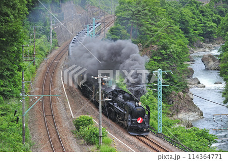 上越線 上牧ー水上 JR東日本 C61-20+C57-180+12系 がんばろう日本 上越線 上牧ー水上 JR東日本 C61-20+C57-180+12系 がんばろう日本 114364771