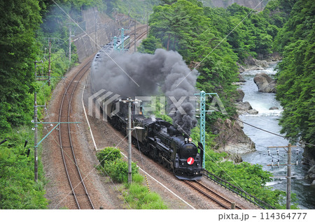 上越線 上牧ー水上 JR東日本 C61-20+C57-180+12系 がんばろう日本 上越線 上牧ー水上 JR東日本 C61-20+C57-180+12系 がんばろう日本 114364777