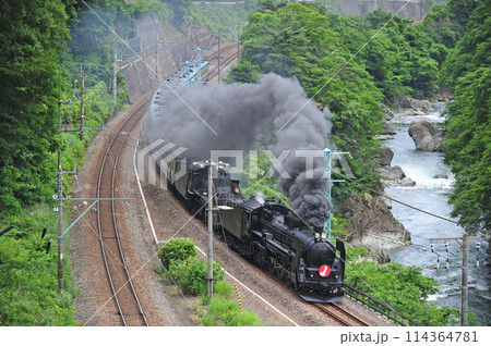 上越線　上牧ー水上　JR東日本　C61-20+C57-180+12系　がんばろう日本 114364781