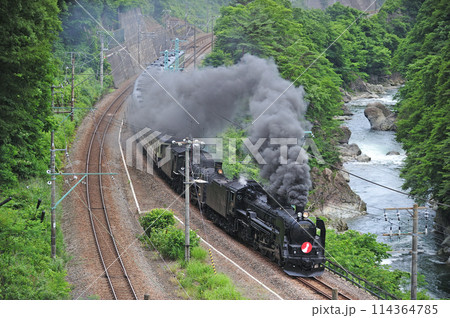 上越線 上牧ー水上 JR東日本 C61-20+C57-180+12系 がんばろう日本 上越線 上牧ー水上 JR東日本 C61-20+C57-180+12系 がんばろう日本 114364785