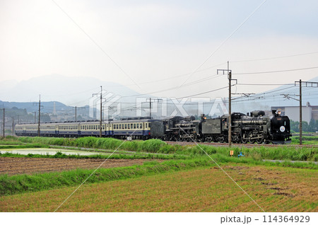 上越線 渋川ー八木原 JR東日本 C61-20+C57-180+12系 SLググっとぐんまみなかみ 上越線 渋川ー八木原 JR東日本 C61-20+C57-180+12系 SLググっとぐんまみなかみ 114364929