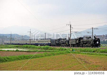 上越線 渋川ー八木原 JR東日本 C61-20+C57-180+12系 SLググっとぐんまみなかみ 上越線 渋川ー八木原 JR東日本 C61-20+C57-180+12系 SLググっとぐんまみなかみ 114364938