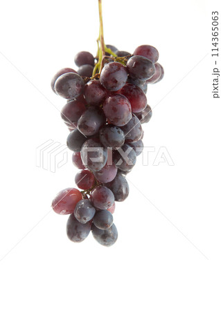 Bunch of organic black grapes isolated on white background. Bunch of organic black grapes isolated on white background. 114365063