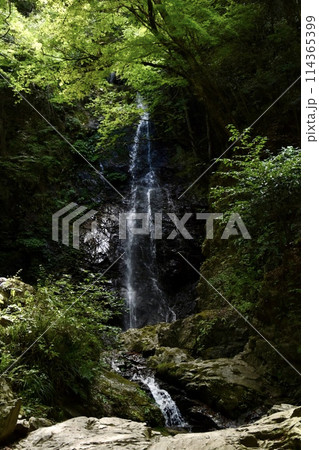 檜原村にある払沢の滝 檜原村にある払沢の滝 114365399