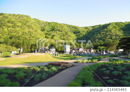 〈 富士芝桜まつり 〉 山梨県富士河口湖町・富士本栖湖リゾート 〈 富士芝桜まつり 〉 山梨県富士河口湖町・富士本栖湖リゾート 114365465