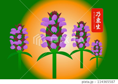 乃東生　なつかれくさしょうず 114365587