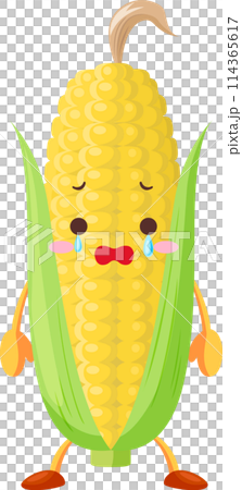 涙を流すかわいいトウモロコシのキャラクターのイラスト 114365617