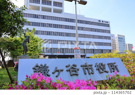 鎌ケ谷市役所とツツジ　千葉県鎌ケ谷市新鎌ケ谷2丁目 114365702