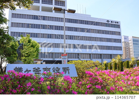 鎌ケ谷市役所とツツジ　千葉県鎌ケ谷市新鎌ケ谷2丁目 114365707