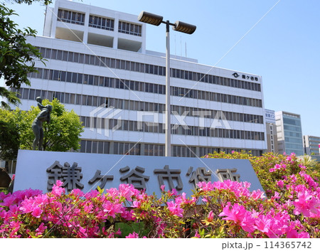 鎌ケ谷市役所とツツジ　千葉県鎌ケ谷市新鎌ケ谷2丁目 114365742