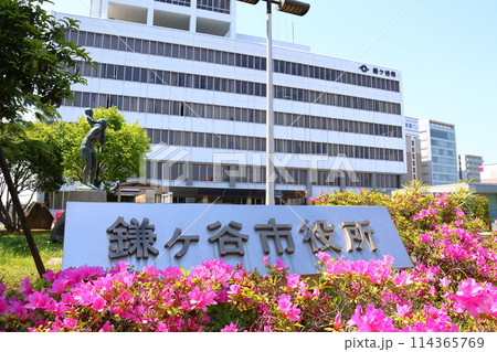 鎌ケ谷市役所とツツジ 千葉県鎌ケ谷市新鎌ケ谷2丁目 鎌ケ谷市役所とツツジ 千葉県鎌ケ谷市新鎌ケ谷2丁目 114365769