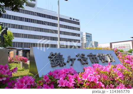 鎌ケ谷市役所とツツジ　千葉県鎌ケ谷市新鎌ケ谷2丁目 114365770