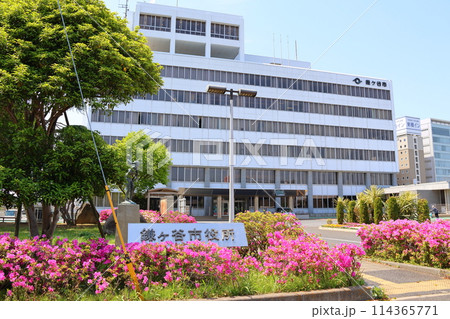 鎌ケ谷市役所とツツジ　千葉県鎌ケ谷市新鎌ケ谷2丁目 114365771