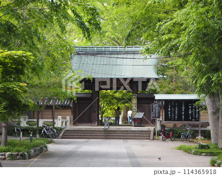新緑が映える世田谷区奥沢にある九品仏浄真寺の風景 新緑が映える世田谷区奥沢にある九品仏浄真寺の風景 114365918