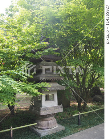 新緑が映える世田谷区奥沢にある九品仏浄真寺の風景 114365927