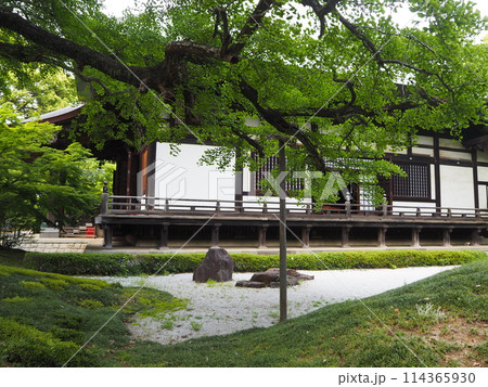 新緑が映える世田谷区奥沢にある九品仏浄真寺の風景 114365930