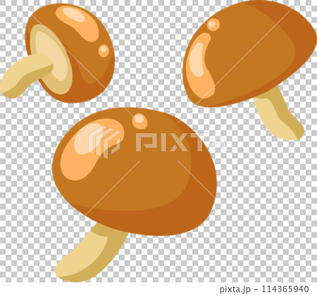 簡單可愛的蘑菇插畫 簡單可愛的蘑菇插畫 114365940