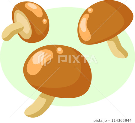 シンプルで可愛いなめこのイラスト 114365944