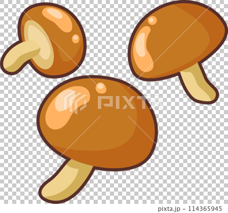 簡單可愛的蘑菇插畫 簡單可愛的蘑菇插畫 114365945