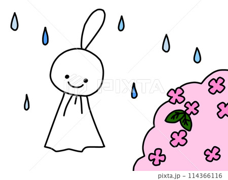 紫陽花とてるてる坊主 紫陽花とてるてる坊主 114366116