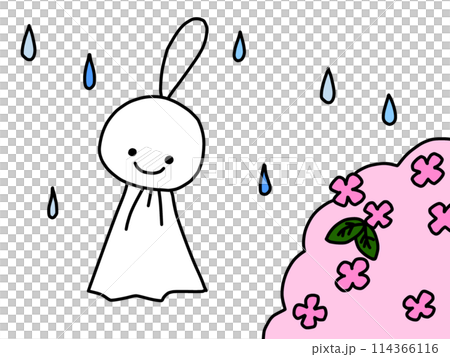紫陽花とてるてる坊主 紫陽花とてるてる坊主 114366116