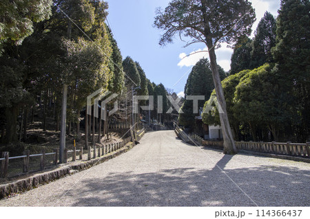 妻木八幡神社 参道 妻木八幡神社 参道 114366437