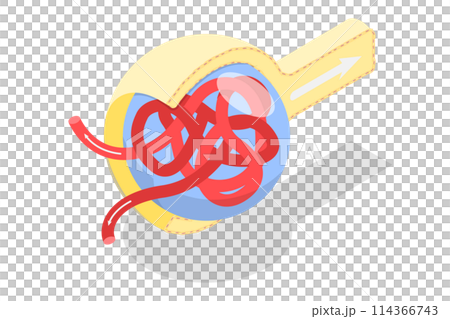 3D Isometric Flat  Conceptual Illustration of Bowmans Capsule Structure, Educational Diagram 114366743