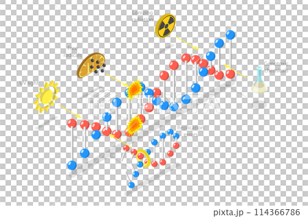 3D Isometric Flat  Conceptual Illustration of DNA Damage, Aging Process 114366786