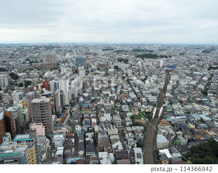 スカイキャロット展望ロビーから眺める東京都世田谷区の街並み 114366842