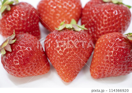 博多あまおう 114366920