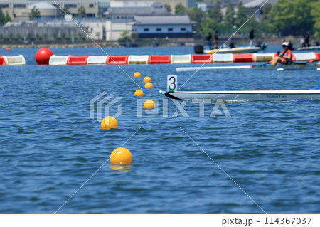 琵琶湖漕艇場のボート競技 琵琶湖漕艇場のボート競技 114367037