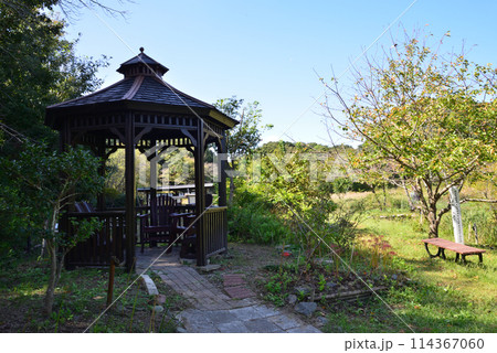 赤羽緑地・自然観察ふれあい公園 #6 赤羽緑地・自然観察ふれあい公園 #6 114367060