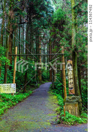新緑の岩戸神社　【長崎県雲仙市】 114367492