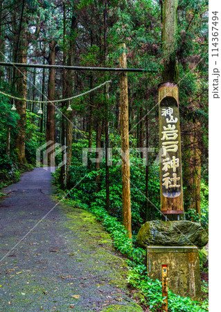 新緑の岩戸神社　【長崎県雲仙市】 114367494