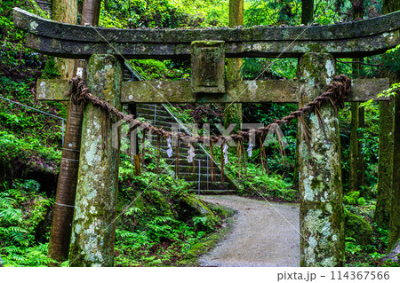 新緑の岩戸神社　【長崎県雲仙市】 114367566