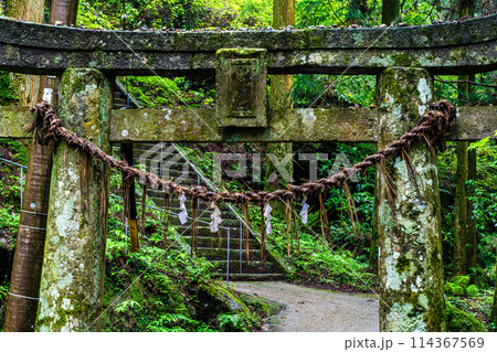 新緑の岩戸神社　【長崎県雲仙市】 114367569